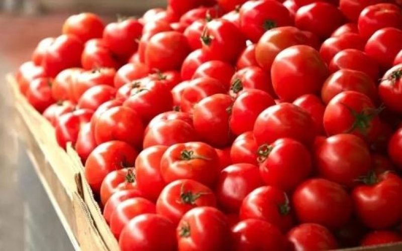 tomate-mexicano-aranceles-a-mexi