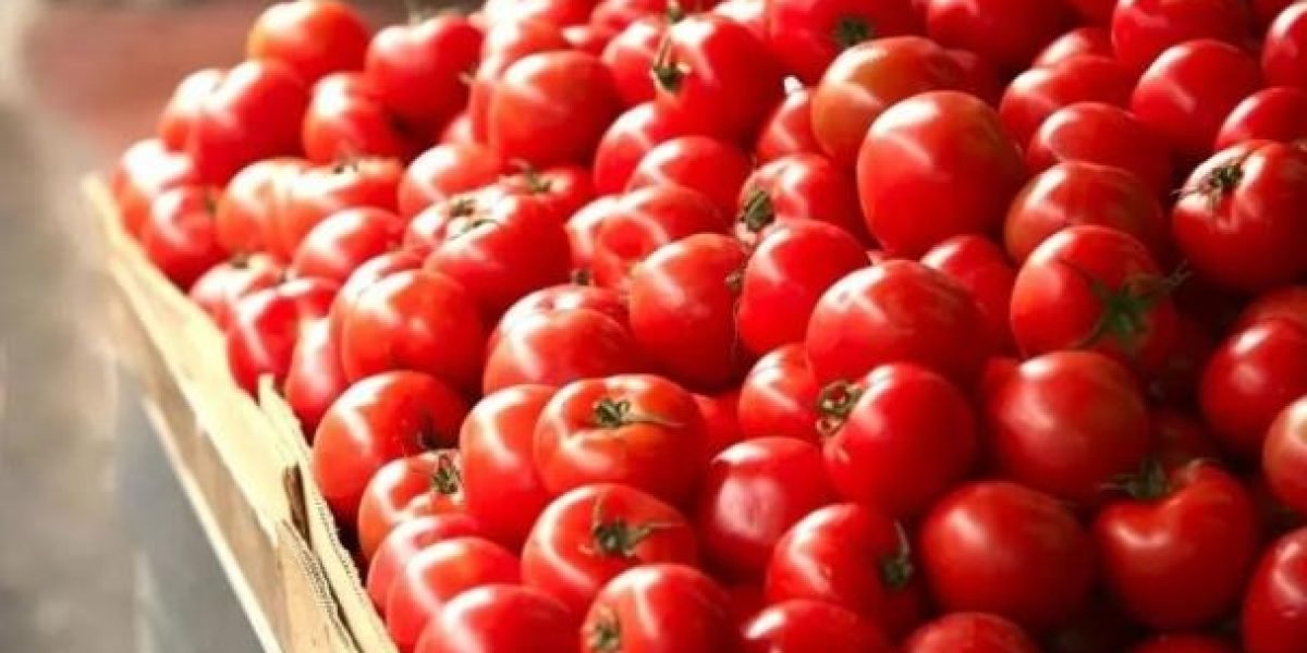 tomate-mexicano-aranceles-a-mexi